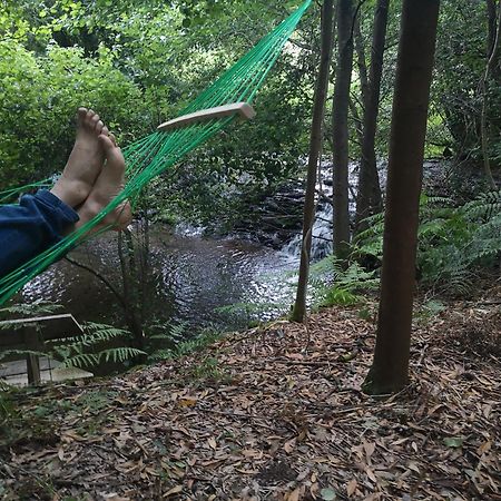 Quinta Das Aguias Авиеро Екстериор снимка