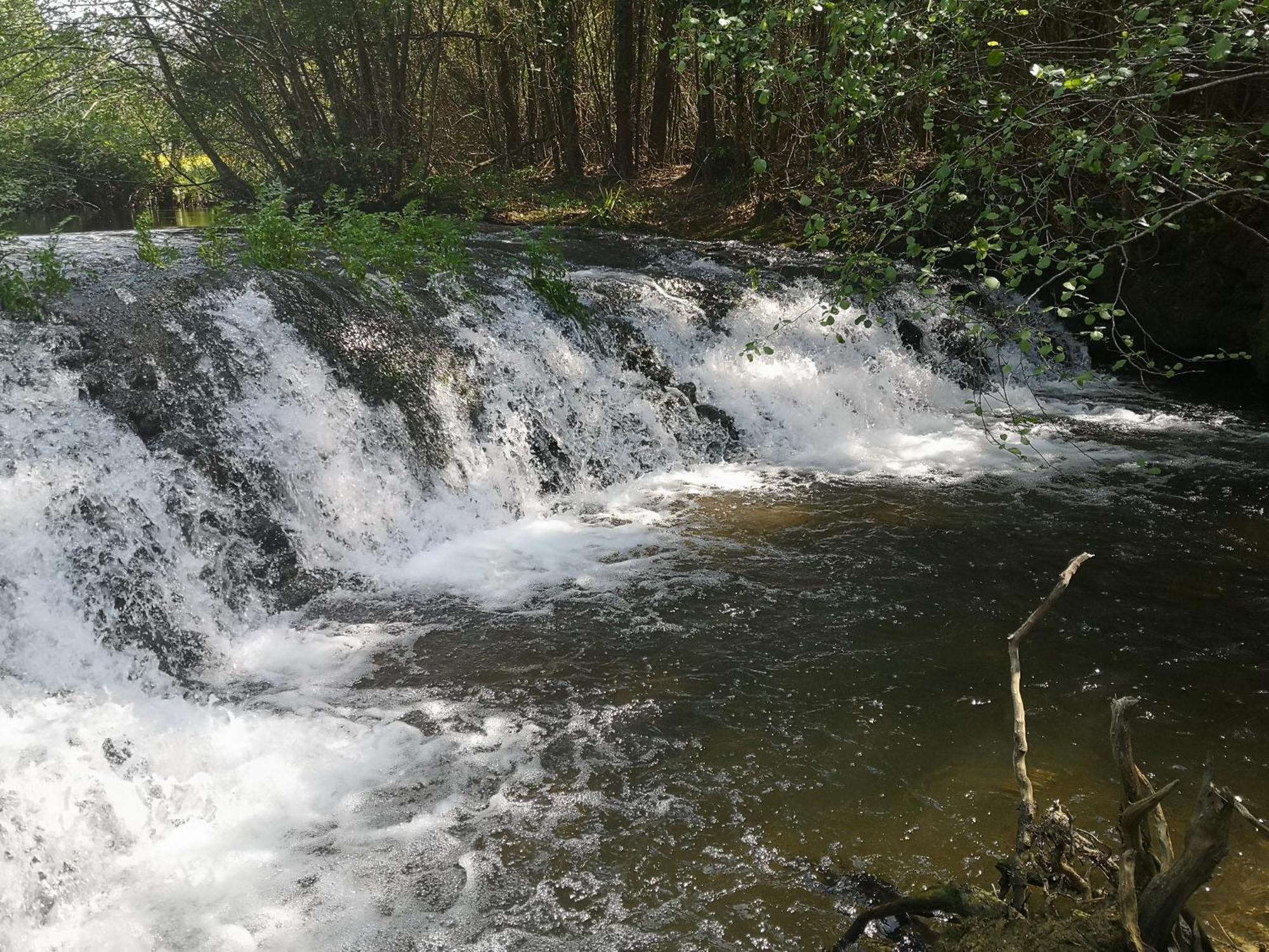 Quinta Das Aguias Авиеро Екстериор снимка