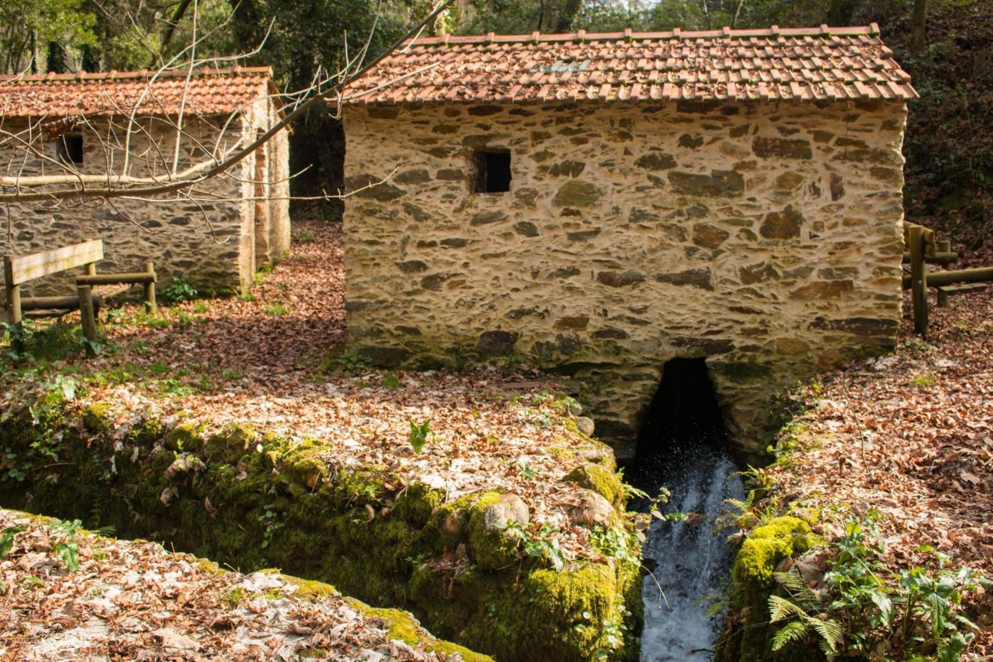 Quinta Das Aguias Авиеро Екстериор снимка