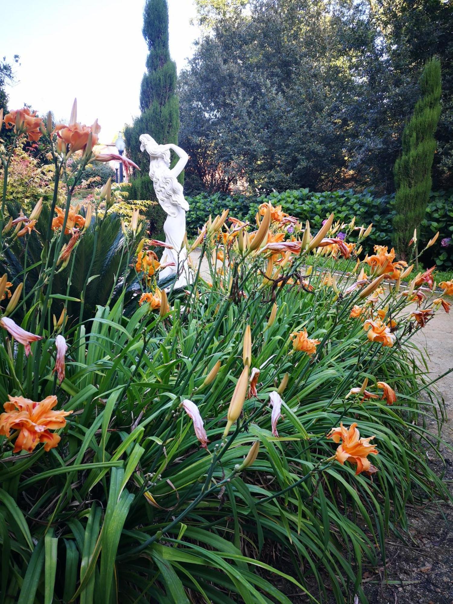 Quinta Das Aguias Авиеро Екстериор снимка