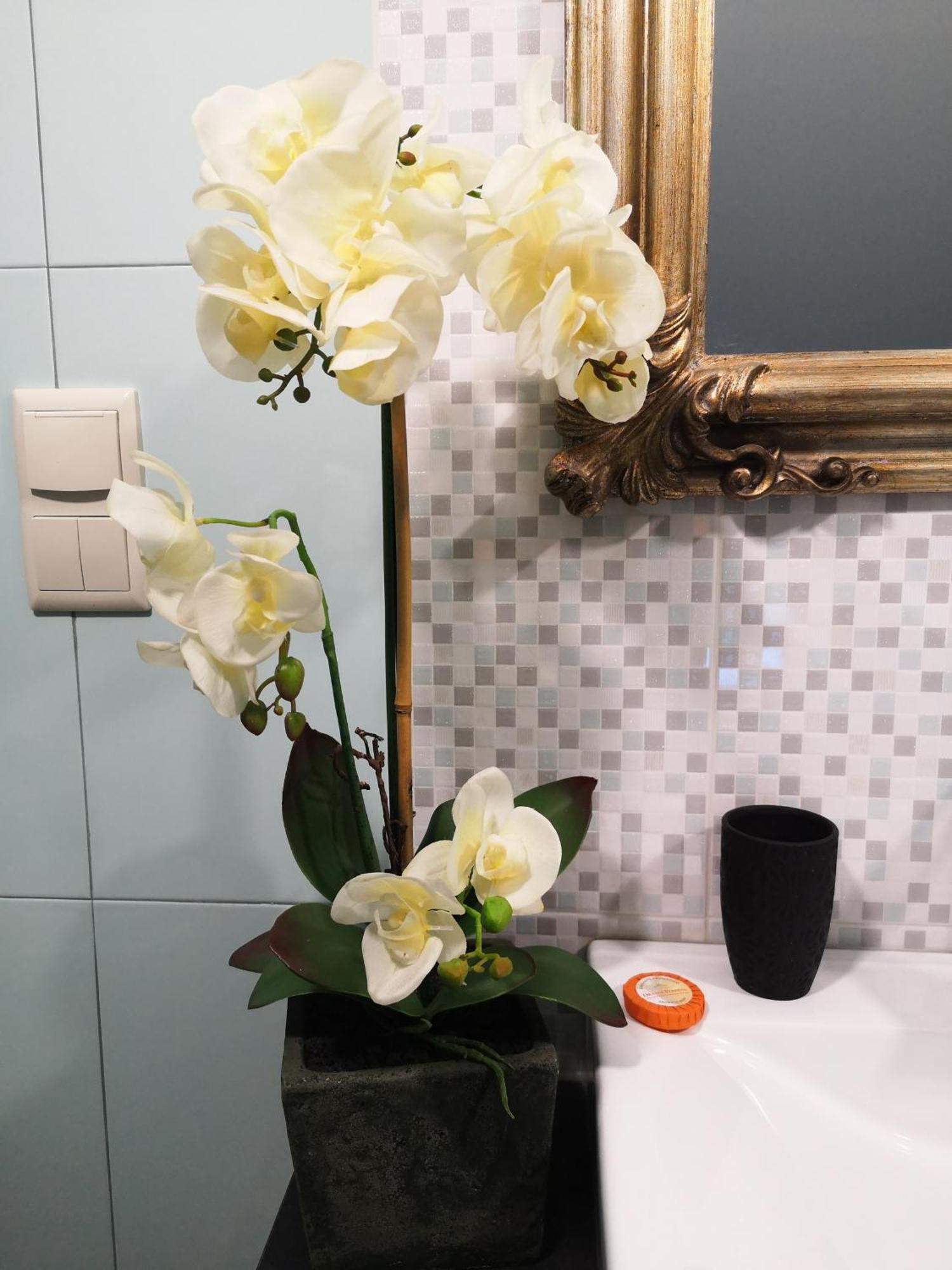 Quinta Das Aguias Авиеро Екстериор снимка