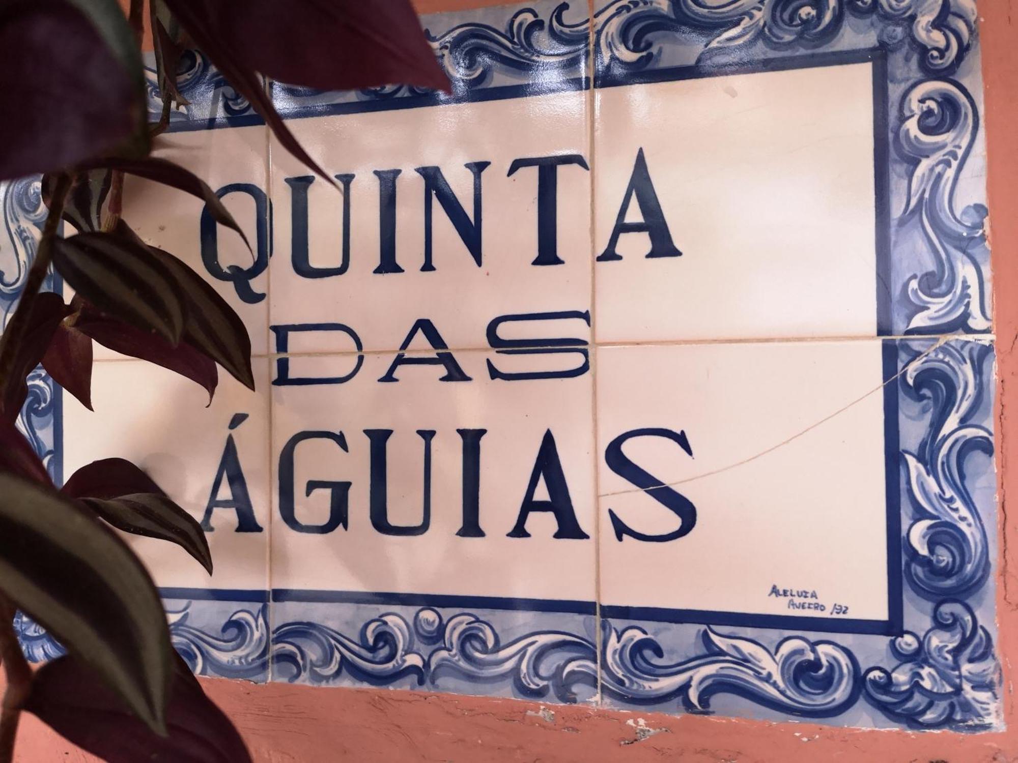 Quinta Das Aguias Авиеро Екстериор снимка