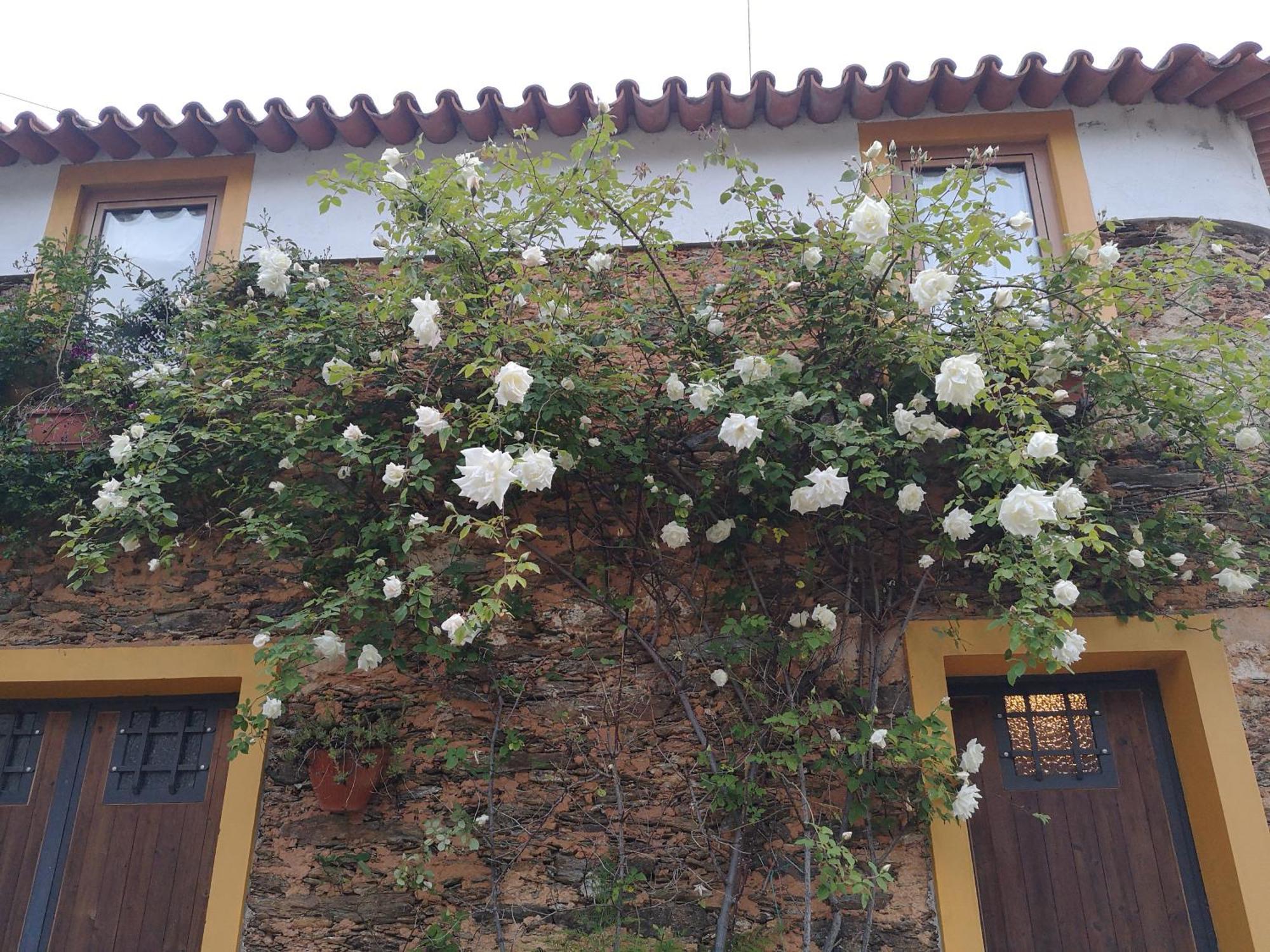 Quinta Das Aguias Авиеро Екстериор снимка
