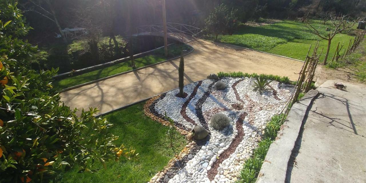 Quinta Das Aguias Авиеро Екстериор снимка